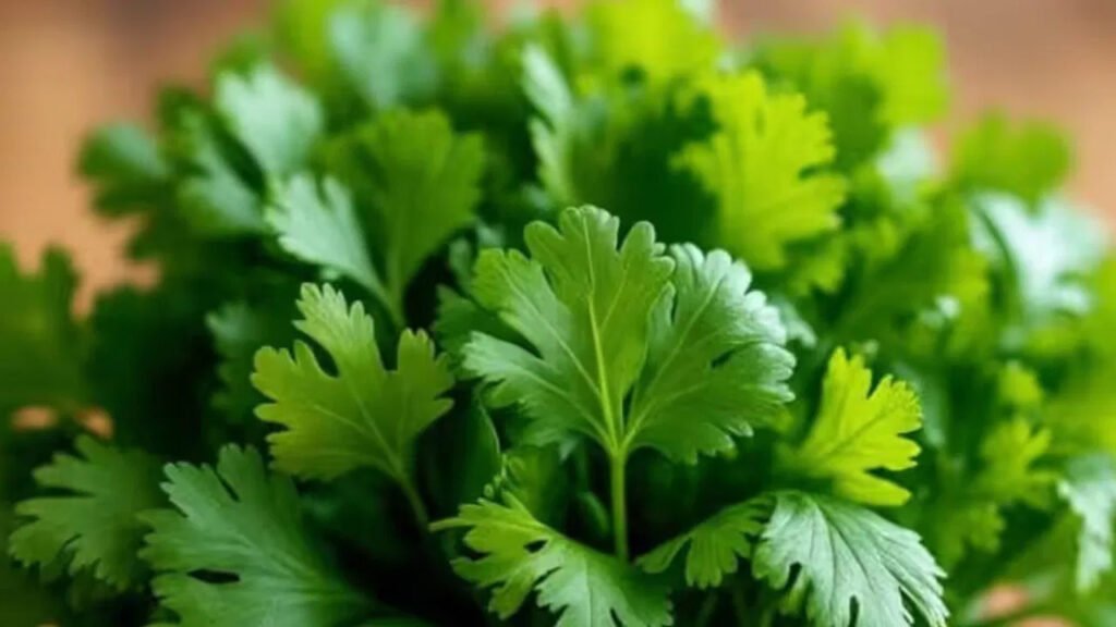 ఒంట్లోకి వెళ్తే ఆరోగ్యానికి దివ్యౌషధాలు!