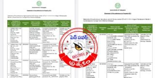 227లో..! తప్పుడు ధరణి రిజిస్ట్రేషన్లే..! అక్రమార్కులకు ఆయుధమా..?