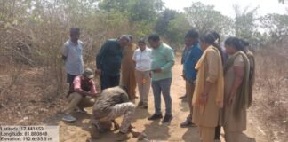 బాబోయ్ పులి-భయాందోళన లో గిరిజనం