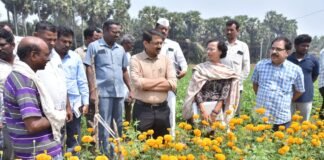 Collector Urges Farmers to Cultivate Horticulture Crops