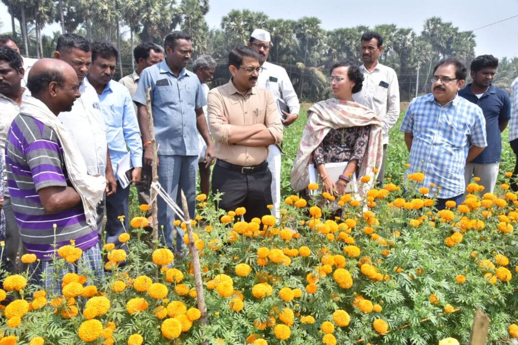 ఉద్యాన పంట‌ల‌ను సాగుచేయాలి* రైతుల‌కు జిల్లా క‌లెక్ట‌ర్ రాంసుంద‌ర్ రెడ్డి పిలుపు.