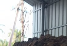 రెచ్చిపోతున్న మట్టి మాఫియా