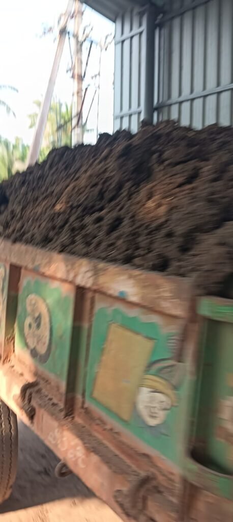 రెచ్చిపోతున్న మట్టి మాఫియా