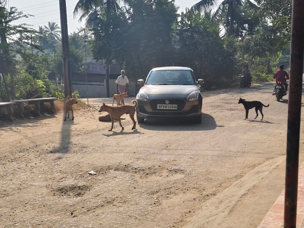 ప్రాణాలు పోయేంతవరకు స్పందించరు
