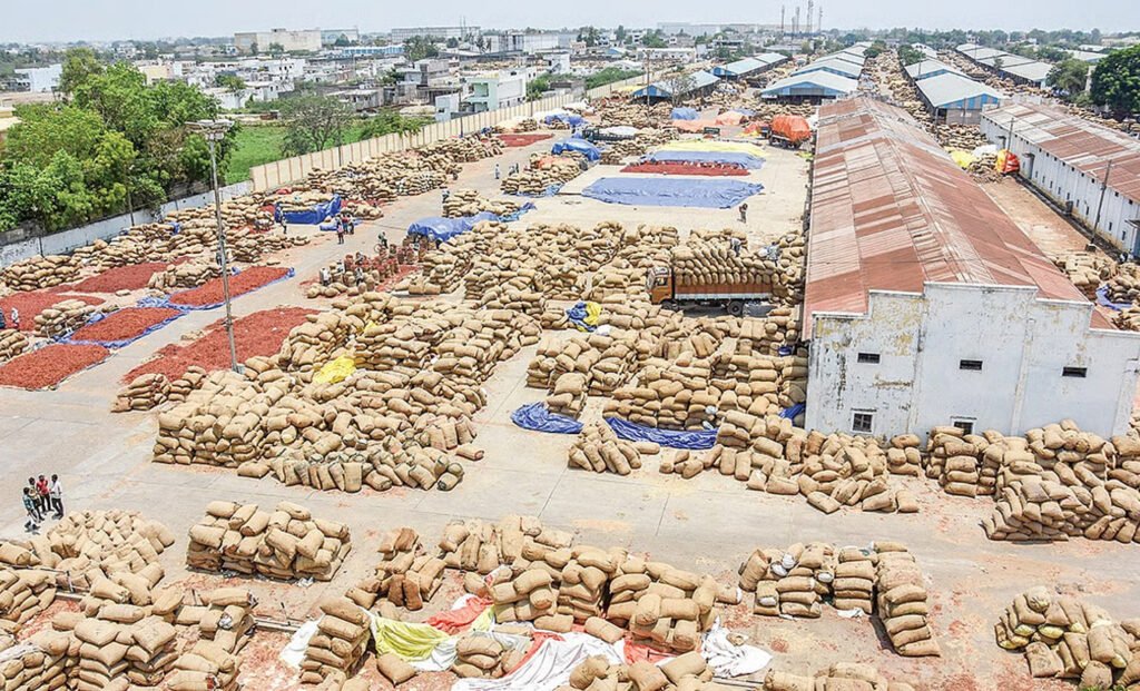 కాసులు  కురిపిస్తున్న ఎర్ర బంగారం