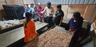 వందన్ వికాస కేంద్రాల ద్వారా గిరిజన మహిళల ఆర్థికాభివృద్ధి