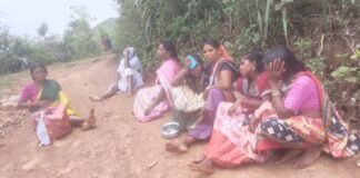 బ్రేకులు ఫెయిలై జీపు బోల్తా… పలువురికి గాయాలు