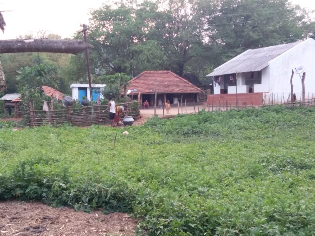 అడగరపల్లి గిరిజనుల ఆవేదన