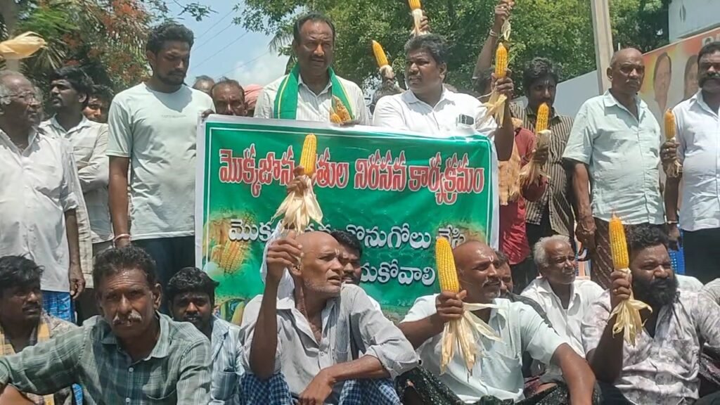 స్వర్ణ గ్రామంగా ప్రకటించిన ప్రాంతంలోనే రోడ్డెక్కిన రైతులు