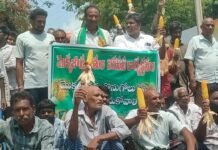 స్వర్ణ గ్రామంగా ప్రకటించిన ప్రాంతంలోనే రోడ్డెక్కిన రైతులు