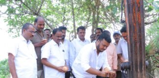 పెదబొడ్డేపల్లి చెరువు అభివృద్ధి పనులకు శ్రీకారం