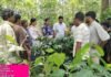 కాఫీ తోటల పెంపకంపై అవగాహన కలిగి ఉండాలి: ఉద్యానవన అధికారిణి అరుణ కుమారి