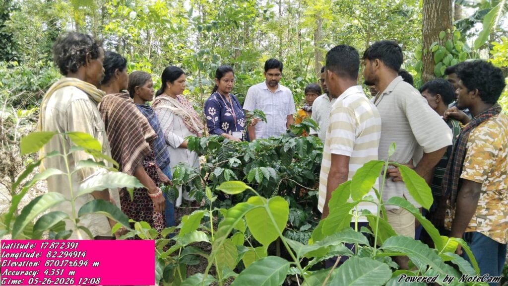 కాఫీ తోటల పెంపకంపై అవగాహన కలిగి ఉండాలి: ఉద్యానవన అధికారిణి అరుణ కుమారి