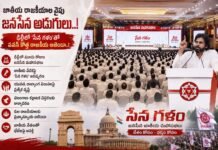 జాతీయ రాజకీయాల వైపు జనసేన అడుగులు..!