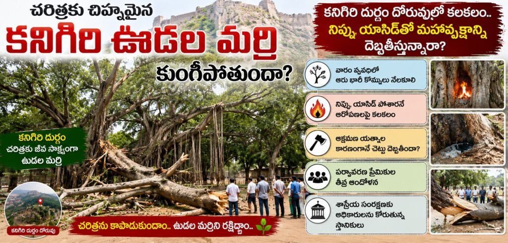 చరిత్రకు చిహ్నమైన కనిగిరి ఊడల మర్రి కుంగిపోతుందా?