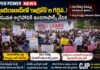 హైదరాబాద్లో ‘కాక్రోచ్’ల గర్జన..!