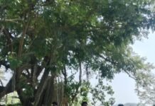 అక్రమ ఠాణాల వసూళ్లు
