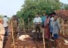 గంగంపాలెంలో పులి బీభత్సం.. 13 దూడలు మృతి