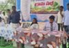 మారుమూల గ్రామాలకు మౌలిక సదుపాయాల కల్పనకు ప్రత్యేక చర్యలు: కలెక్టర్ దినేష్ కుమార్