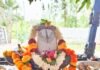 పాకలపాటి గురువుగారు ఆశ్రమంలో మాస శివరాత్రి పూజలు