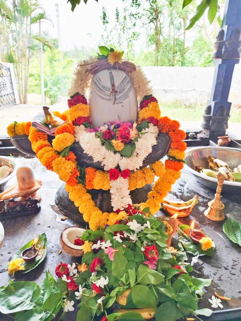 పాకలపాటి గురువుగారు ఆశ్రమంలో మాస శివరాత్రి పూజలు