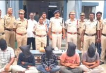 33 లక్షల విలువైన గంజాయి పట్టివేత