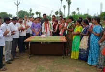ఘనంగా ఖర్గే జన్మదిన వేడుకలు