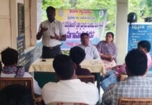 స్వల్పకాలిక పంటలు సాగు చేయాలి