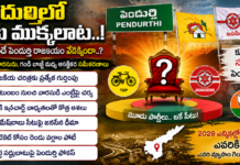 2029కి ముందే పెందుర్తి రాజకీయం వేడెక్కిందా..?