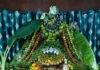 శాఖంబరి రూపంలో జగన్మాత దివ్యదర్శనం