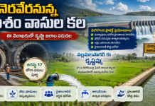పశ్చిమ ప్రకాశానికి జలకళ.. వెలిగొండ పనులు తుది దశకు, మార్కాపురం–కనిగిరి ప్రాంతాలకు త్వరలో నీరు