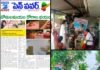 పెన్ పవర్ కథనంతో దోమల నివారణ చర్యలు