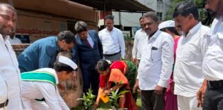 మొక్కల పెంపకం తోనే ఆరోగ్యకరమైన జీవనం సాధ్యం