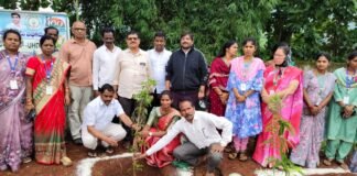 పచ్చదనం పెంపే లక్ష్యం.. రింతాడలో మొక్కలు నాటిన నాయకులు