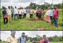 హరిత గ్రామాలే లక్ష్యంగా వన మహోత్సవం