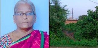 పాములకు ఆవాసం.. దోమలకు నిలయం!
