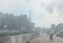 రోడ్లపై ఎక్కడ పడితే అక్కడ చెత్త